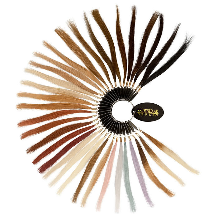 Farbring aus 100% Echthaar zur Farbbestimmung von Seidenhaar Berlin - Hochwertige Echthaar Haarverlängerungen in Remy-Qualität (Bild 1)
